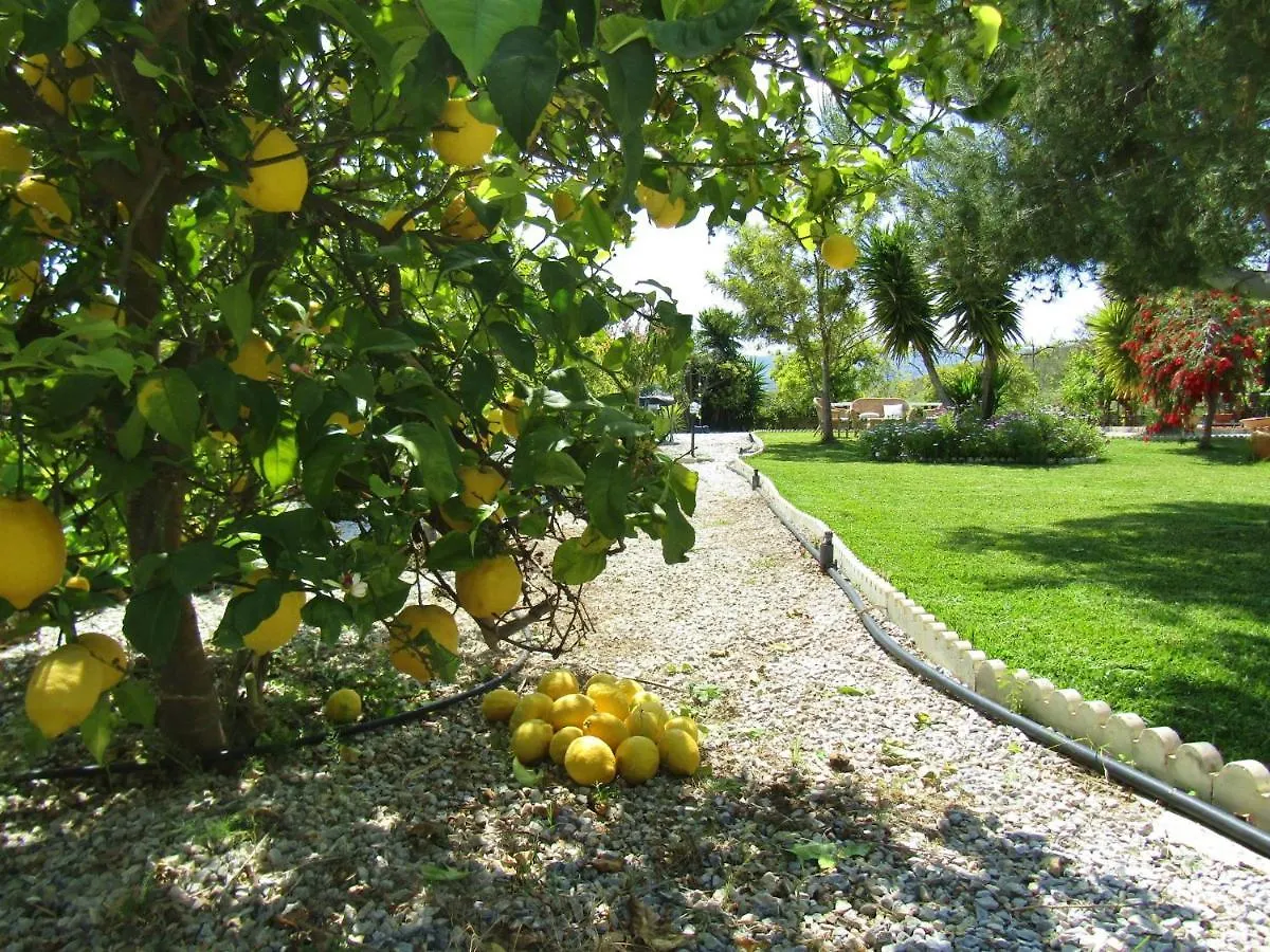 Escuela La Crujia Bed & Breakfast Velez Malaga
